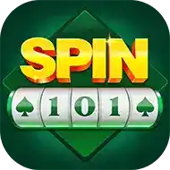 Image for SPIN 101