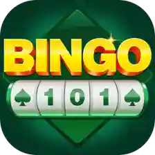 Image for BINGO 101